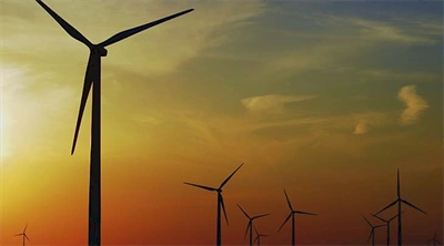Going Carbon Neutral in the Equipment Rental Industry: What, Why, and How?