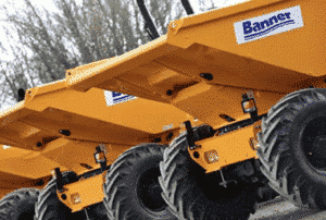Banner Plant